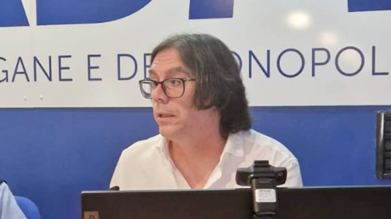 Dr. Javier Valls Prieto of University of Granada, speaking at the latest BAG-INTEL General Assembly